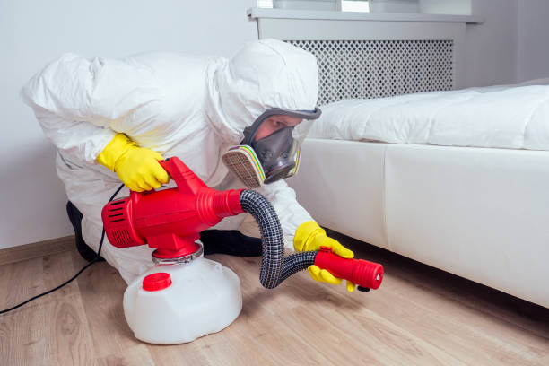 Trusted Spotswood, NJ Pest Control Experts