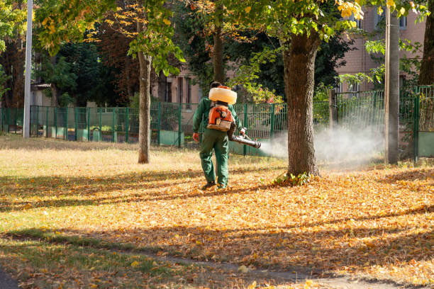 Best Termite Control Services  in Spotswood, NJ