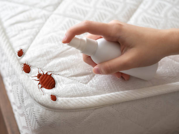 Pest Prevention Services in Spotswood, NJ