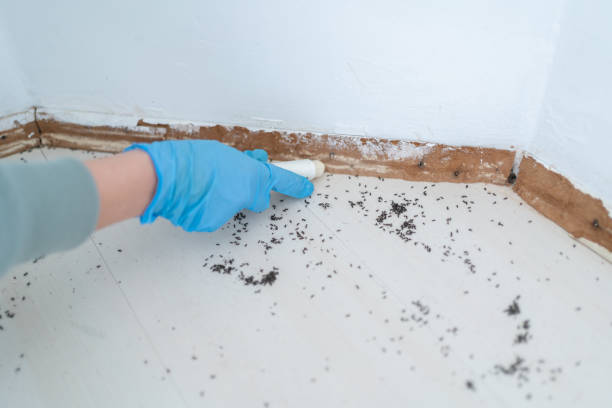 Best Emergency Pest Control  in Spotswood, NJ