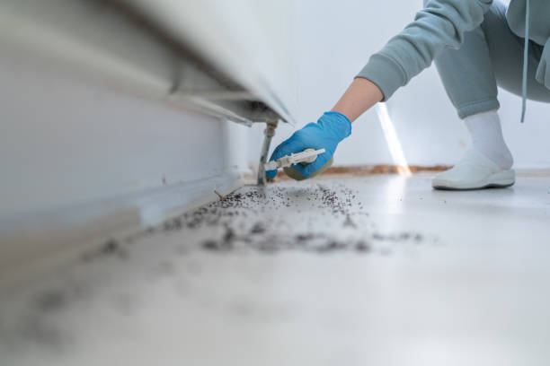 Flea Control Services in Spotswood, NJ